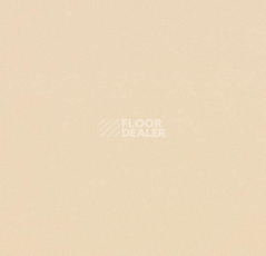Линолеум Forbo Modul'up Compact Colour 4803UP43C vanilla stardust фото 1 | FLOORDEALER